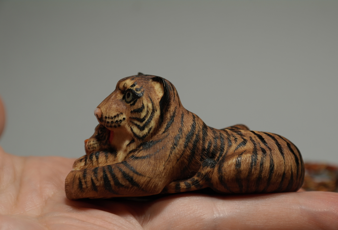 Tigress with a cub 006